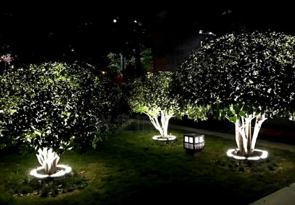 Светильник для круговой подсветки колонн и деревьев серии SM, BS