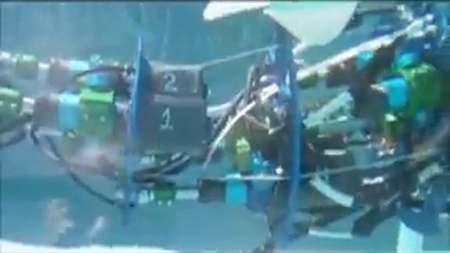 Submerged Robotic Dolphin