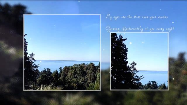 Ботанический сад в Батуми смотреть онлайн