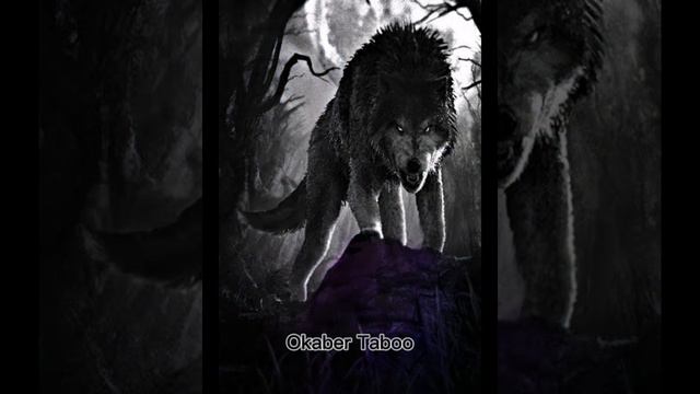 Okaber Taboo.! Cover Song.