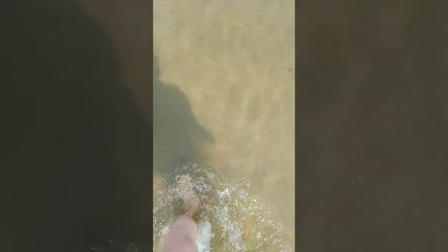 плещеево озеро смотреть онлайн