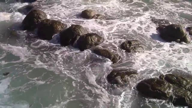JVC GY HM100 Test - Underwater Symphony смотреть онлайн