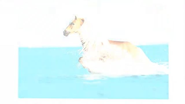 Когда море поет смотреть онлайн