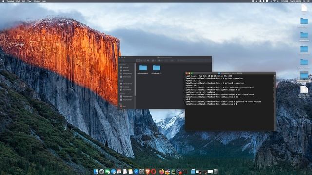 How to Learn Python with an Expert (01 Introduction to Python Setting up IDE and Environment) смотреть онлайн