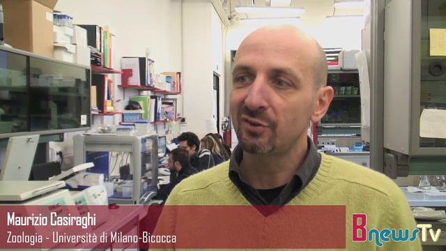 Non solo carne equina. Difendersi dalle frodi alimentari con la tecnologia смотреть онлайн