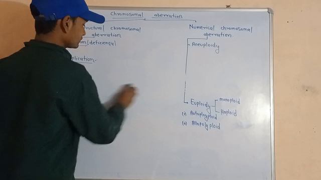 Chromosomal aberration|| structural and numerical chromosomal aberration For BHU |NABARD|JRF|AFO.. смотреть онлайн