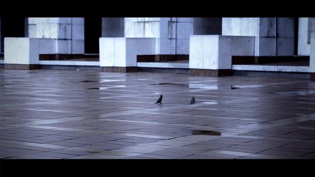Cinematic Video Java Culture, Indonesia | Canon 7D смотреть онлайн