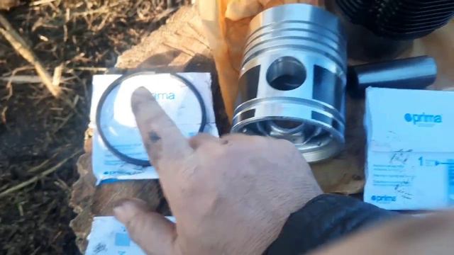 Т -25🚜 👉 Нова 👉5 откуда мотор Купив 👉масло #deaf #глухие. смотреть онлайн