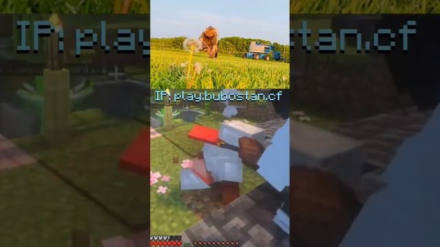 Найдите 5 отличий ? #minecraft #furries смотреть онлайн