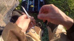 Ловля щуки на живца летом. Рыбалка на поплавок с берега.