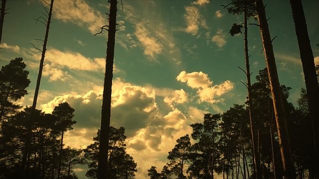 Послушайте Релакс музыка Степная Даль Фортепиано на закате в степи для души Relax Music Steppe Pian