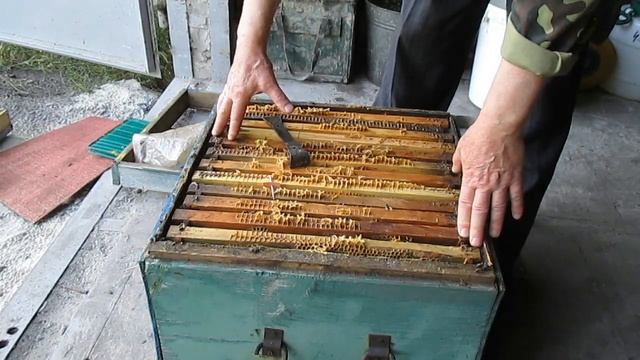 Исчезли пчелы Пчелиное воровство Ошибки пчеловода смотреть онлайн