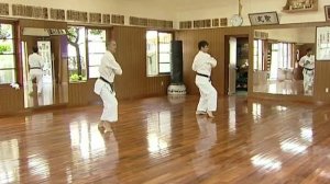 Shorin-ryu Seibukan. History of karate. Part 2. 3/3