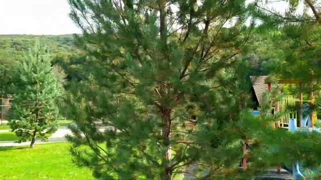 Відпочинок на Закарпатті ТОП 5 найкращих місць // Отдых в Закарпатье ТОП 5 лучших мест смотреть онлайн