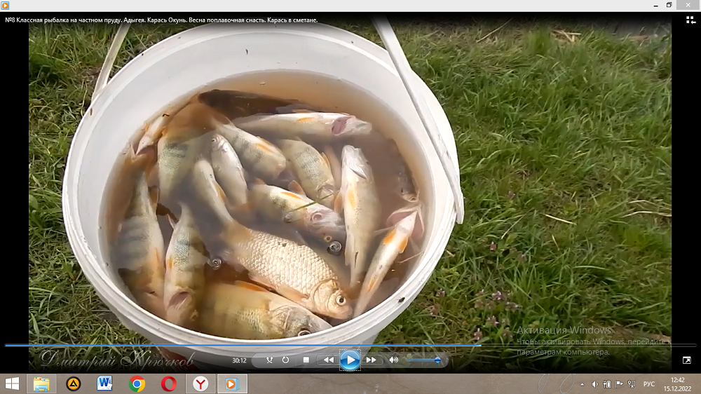 Классная РЫБАЛКА на частном пруду АДЫГЕЯ. Карась Окунь. Весна поплавочная снасть. + Карась в сметане смотреть онлайн
