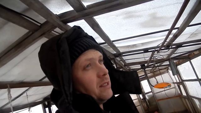 Куры несутся. Крольчата на каруселе. смотреть онлайн