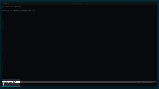 Aprendiendo Neovim - 01 Primeros pasos смотреть онлайн