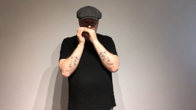 Parchman Farm - Harmonica Hawk смотреть онлайн