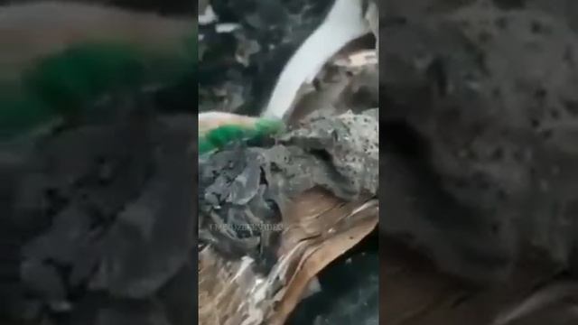 23 октября 2019 г. смотреть онлайн