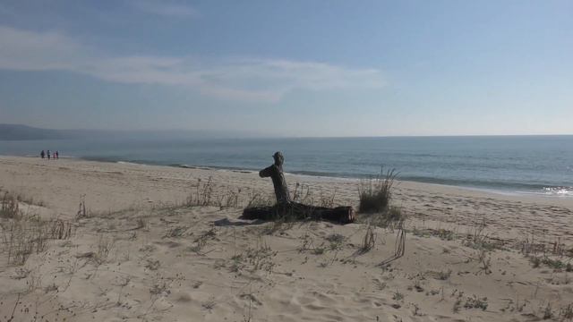 Морской берег -  вид с берега.   Sea shore - view from the shore.