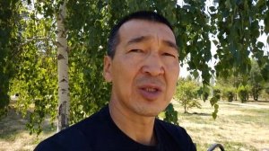 Золотой петух стоит на одной ноге