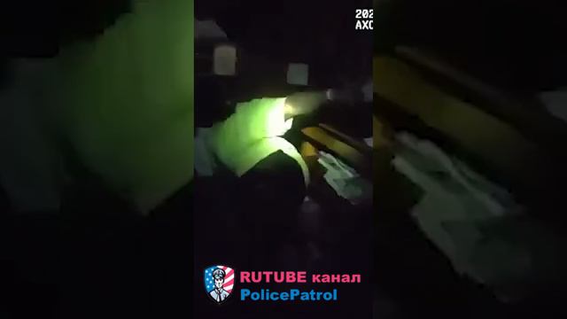 Задержание со стрельбой и собакой смотреть онлайн