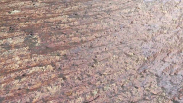 Железный водопад Бату Ферринги - красивое место с массажем от рыбок. Остров Пенанг, Малайзия. смотреть онлайн