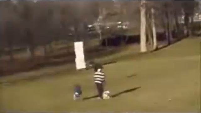 Гигантский орёл уносит ребёнка смотреть онлайн