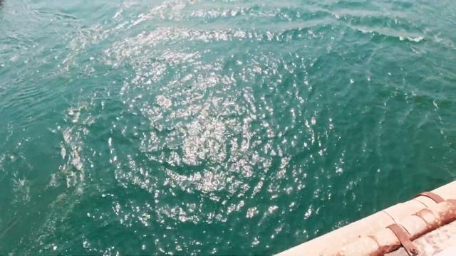 Путешествие по Индии. Февраль-март 2022 года. 6 часть. Dhamani - Niveli смотреть онлайн