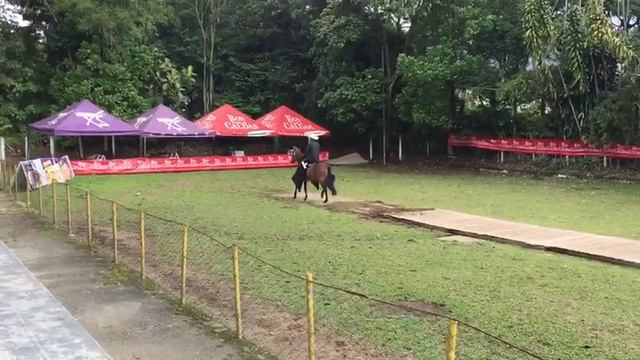 Pandora de luna clara смотреть онлайн