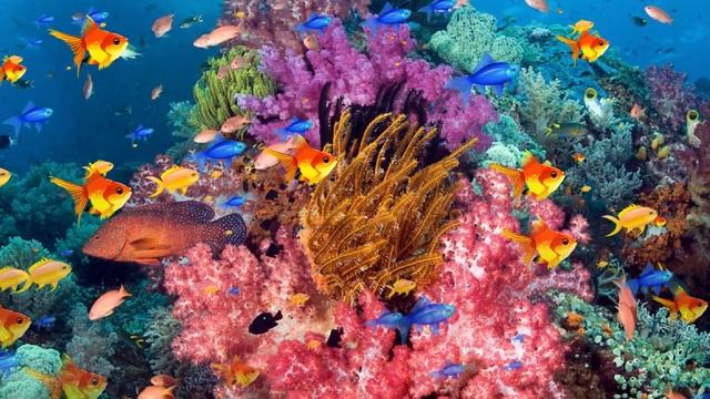 The depths of our planet2 смотреть онлайн