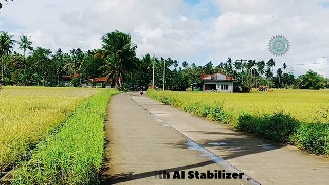 TECNO POVA 4 AI CAMERA STABILIZER | TEST VIDEO | BasagMoto™®