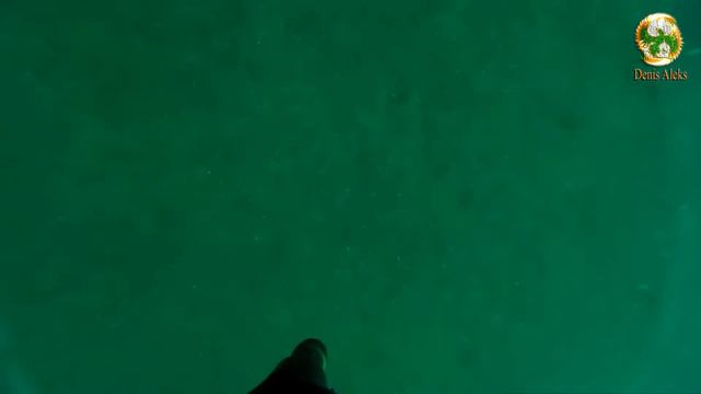 Подводная охота Крым 19.08.2016 [кефаль] смотреть онлайн