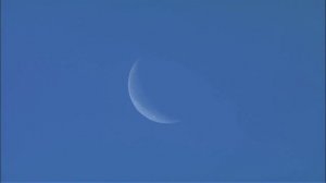 Виртуальное путешествие  Прекрасная планета 2010