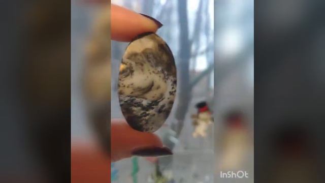 Тундра VID 20230530 WA0061 смотреть онлайн