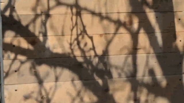 ДомоМастер