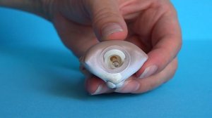 LPS ОТОРВАЛИ ГОЛОВЫ или как поменять шарнир / LPS master class