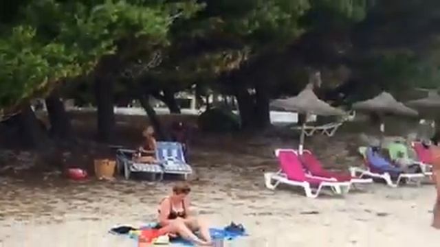 Сосновый Пляж в Алькудии, остров Майорка. Playa de Alcudia. The Beach in Alcudia. смотреть онлайн