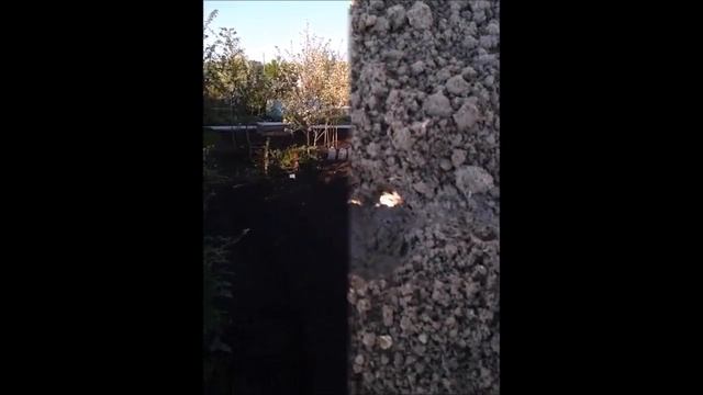 Дела дачные/ Прошу совета у опытных огородников смотреть онлайн