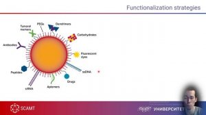 Курс "Нанотоксикология". Лекция 1 "Введение в нанотоксикологию"