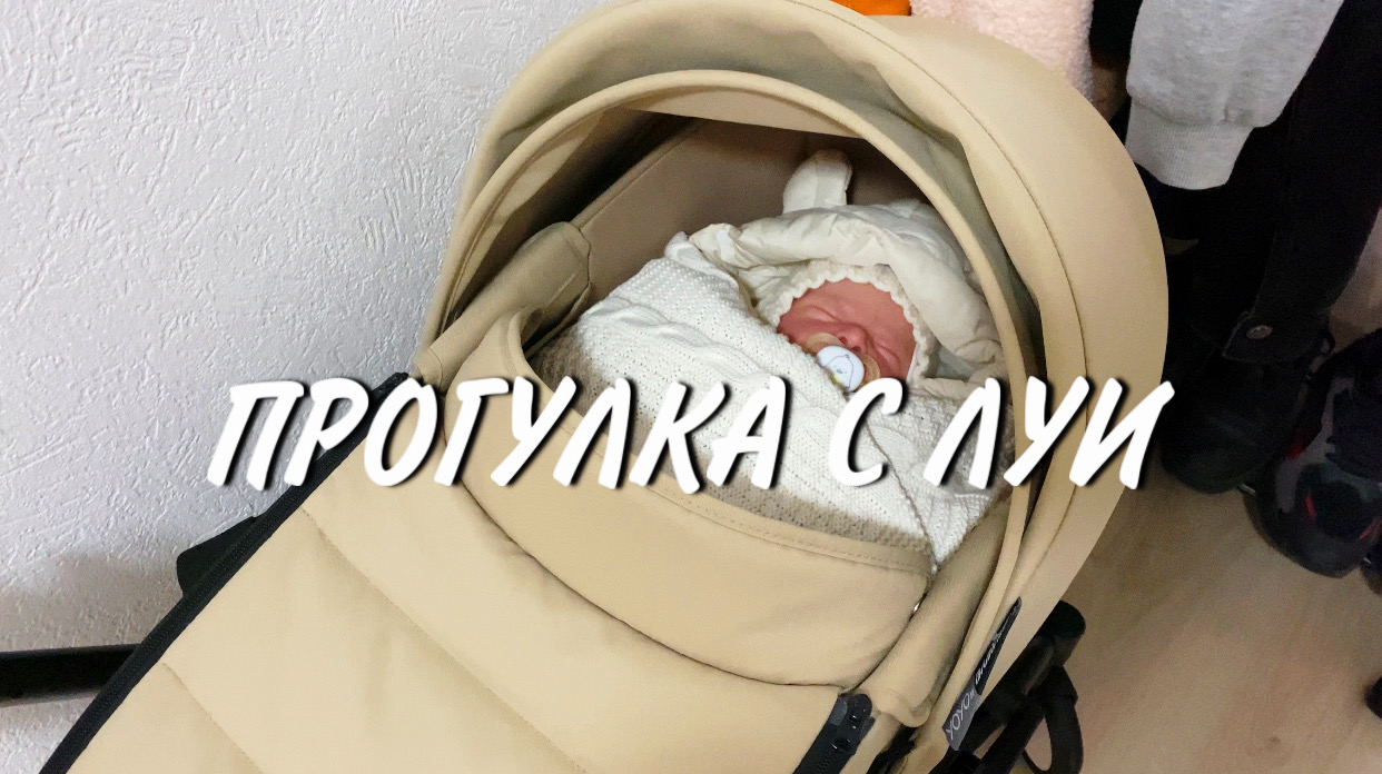ПРОГУЛКА С ЛУИ ПОСЛЕДНЕЕ ВИДЕО С НАШЕЙ КОЛЯСКОЙ( смотреть онлайн