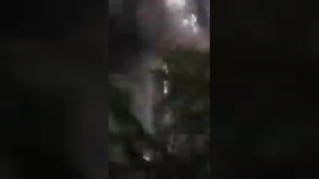 Квинка Слоумо:В ананас идите #квин #ананас #слоумо смотреть онлайн