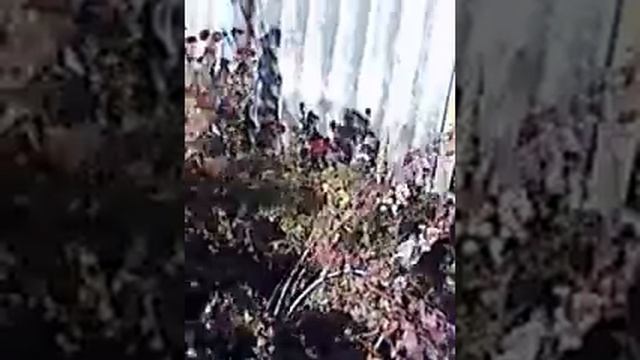 MOV 0000049 программа +для ландшафтного дизайна смотреть онлайн