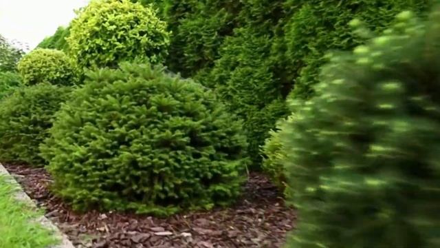 Главные тренды ландшафтного дизайна 2021-го года смотреть онлайн