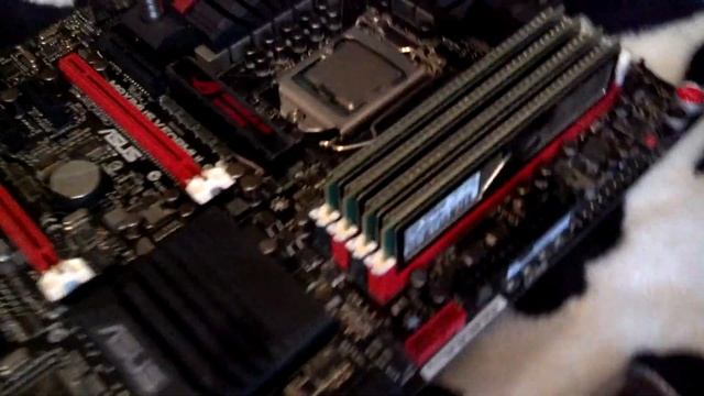 Мой зверь смотреть онлайн