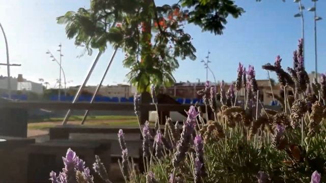 БОГ УМЕЕТ ГОВОРИТЬ смотреть онлайн