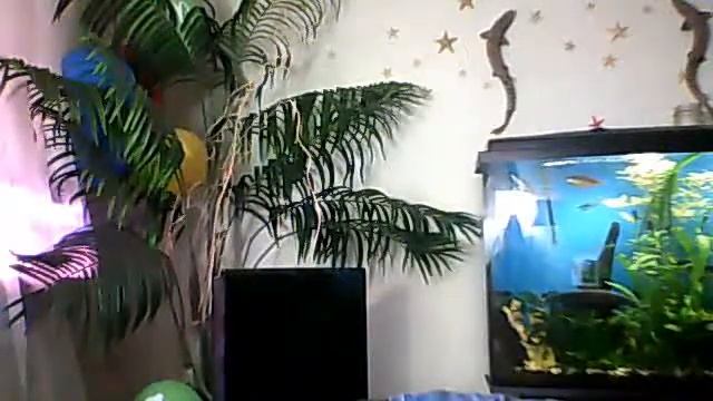 Видео с веб-камеры. Дата: 6 ноября 2013 г., 15:28. смотреть онлайн