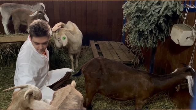 Итоги Дня Открытых Дверей 2023