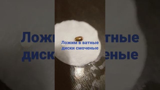 апельсин из косточки смотреть онлайн