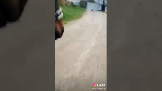 Там, где душа | Лошади смотреть онлайн